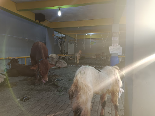 Masjid Jami Baitussalam