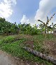 Jupel Situs masjid kauman pleret
